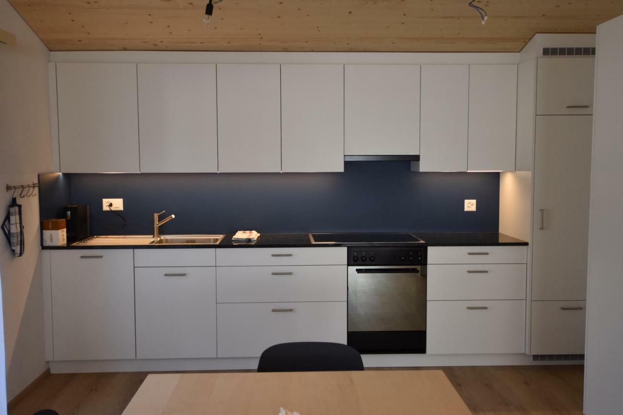 Gemeindematte Appartement Meiringen